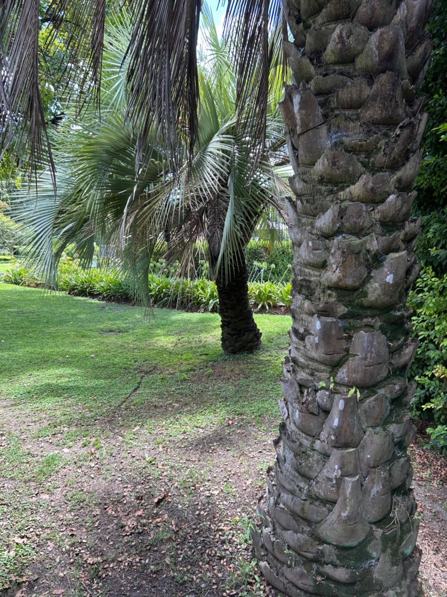 Lindisimo Con Parrilla Y Piscina, En Country Apartamento *